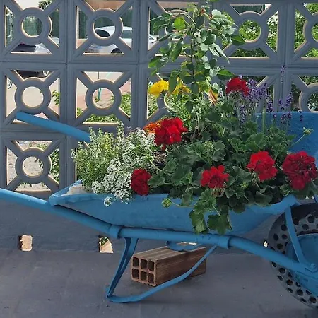 La Replaceta 塞古比