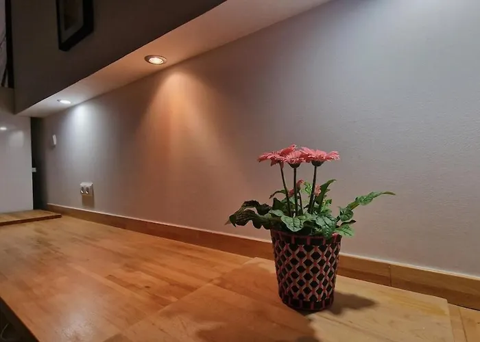 La Replaceta * Segorbe